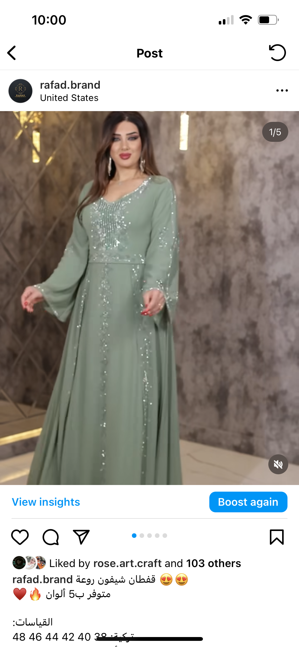 Aneesa dress size 14