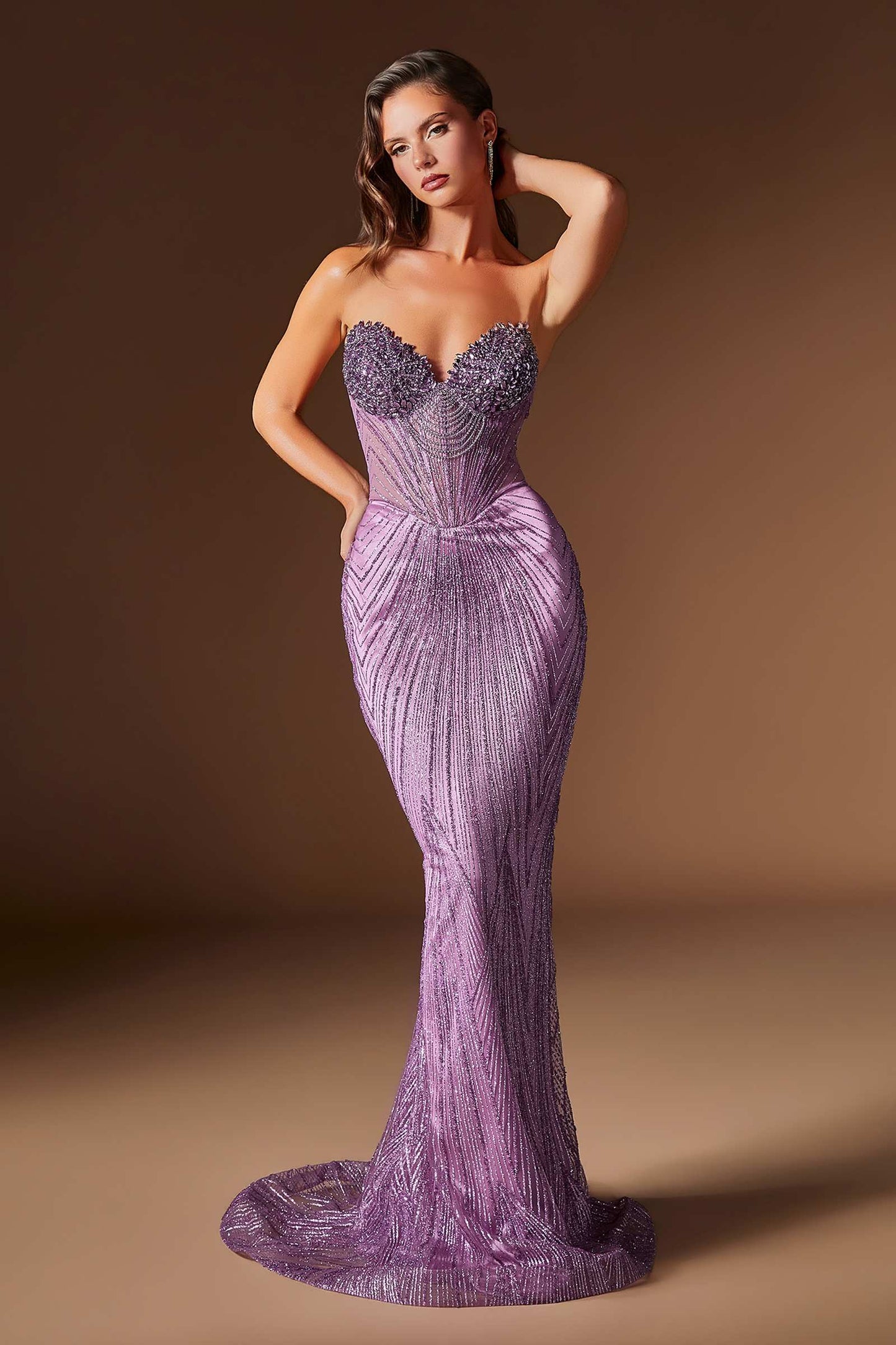 Lavish Crystal Encrusted Sheer Corset Bodice Fitted Gown