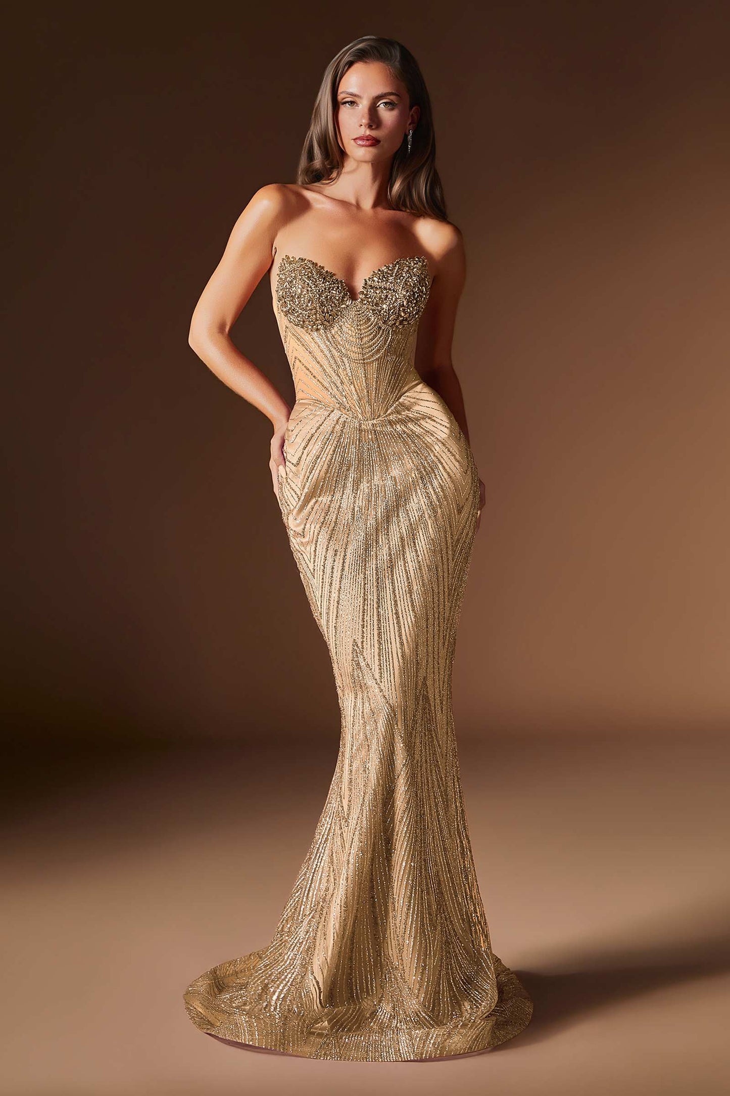 Lavish Crystal Encrusted Sheer Corset Bodice Fitted Gown