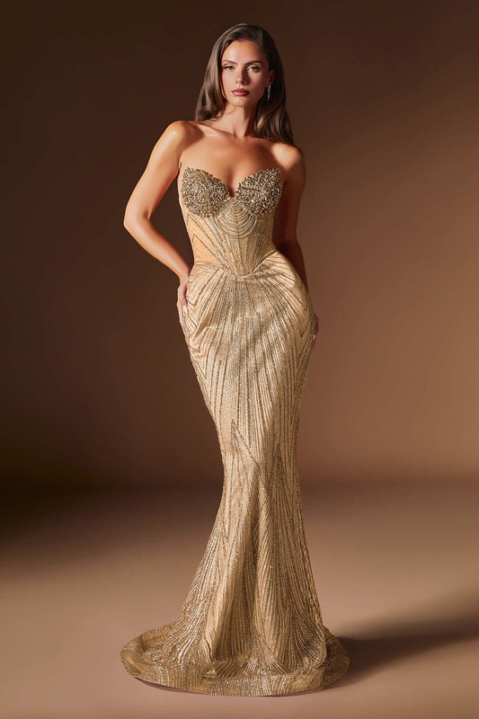 Lavish Crystal Encrusted Sheer Corset Bodice Fitted Gown